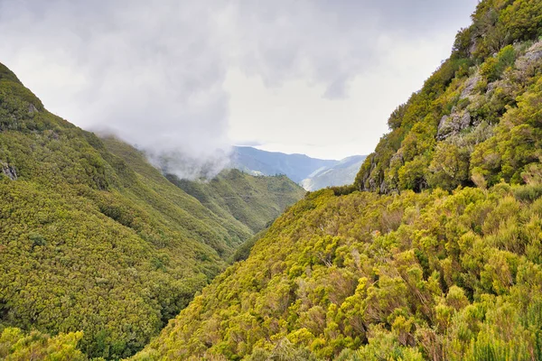 Nádherný Vnitrozemí Ostrova Madeira Portugalsko Mraky — Stock fotografie