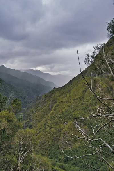 Portekiz Madeira Adasının Görkemli Kısımları Bulutlar — Stok fotoğraf