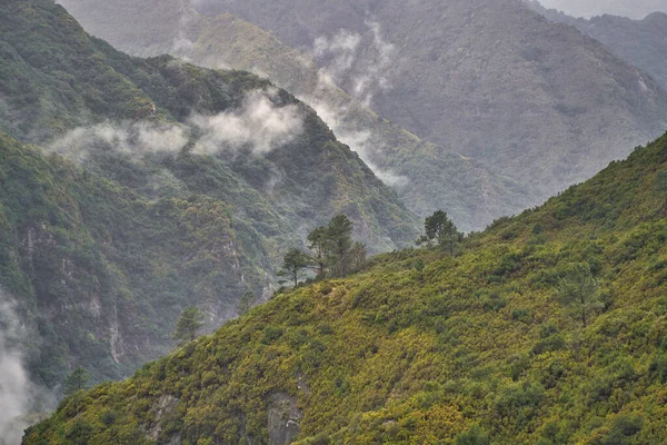 Portekiz Madeira Adasının Görkemli Kısımları Bulutlar — Stok fotoğraf