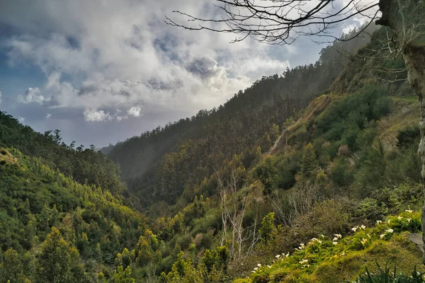 Portekiz Madeira Adasının Görkemli Kısımları Bulutlar — Stok fotoğraf