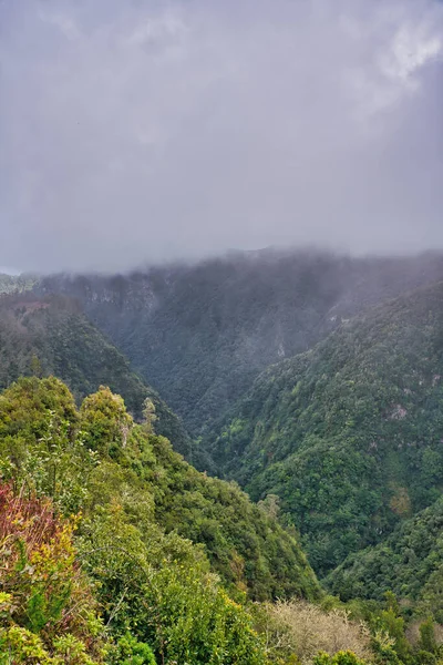Portekiz Madeira Adasının Görkemli Kısımları Bulutlar — Stok fotoğraf