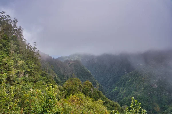 Portekiz Madeira Adasının Görkemli Kısımları Bulutlar — Stok fotoğraf