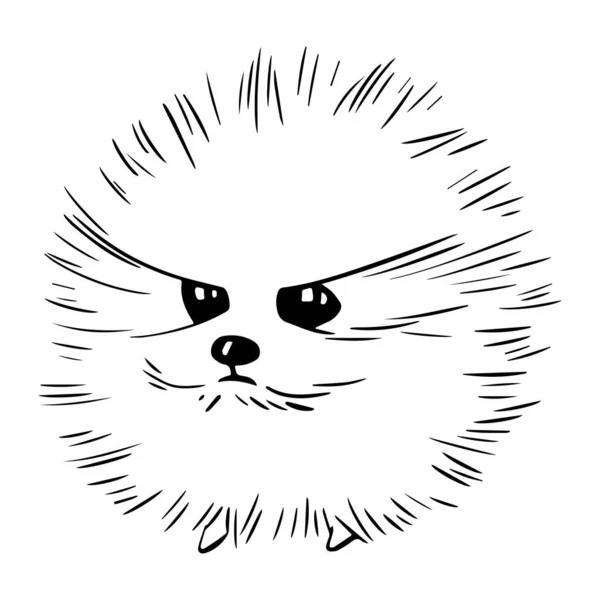 Vector Funny Cute Line Art Illustration Fluffy Spitz Dog Isolated — Stock Vector