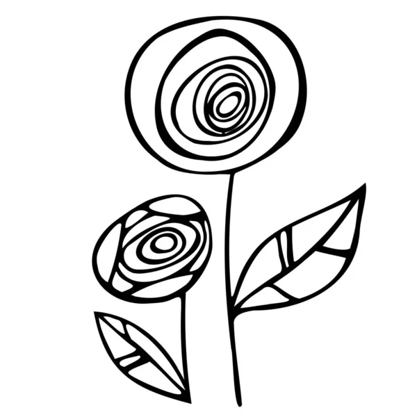 Ręcznie Wektor Liniowy Rysunek Stylizowanych Kwiatów Róży Stylu Doodle Izolowane — Wektor stockowy