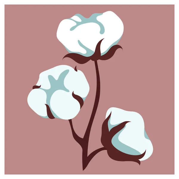 vector botanical illustration of delicate airy cotton branch isolated on pink pastel background. useful for advertising natural fabric clothes, cotton clothes, cotton t-shirts, organic clothes, print.
