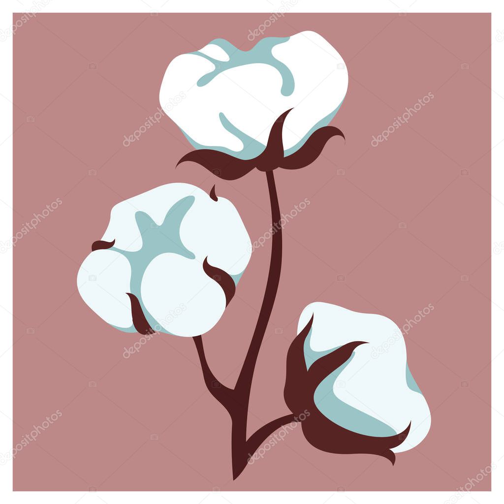 vector botanical illustration of delicate airy cotton branch isolated on pink pastel background. useful for advertising natural fabric clothes, cotton clothes, cotton t-shirts, organic clothes, print.