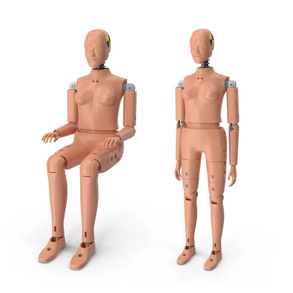 kadın çarpışma testi mankeni 3D görüntüleme