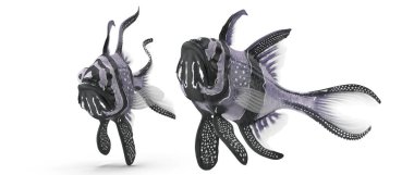 Longfin Kardinal Balık Beyaz izole arkaplan 3d görüntüleme