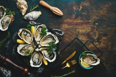 Limonlu istiridye ve buzlu maydanoz. Karanlık bir taş arka planda. Metnin için boş yer. Deniz ürünleri. Düz yatıyordu.