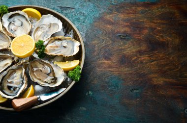 Limonlu istiridye ve buzlu maydanoz. Karanlık bir taş arka planda. Metnin için boş yer. Deniz ürünleri. Düz yatıyordu.