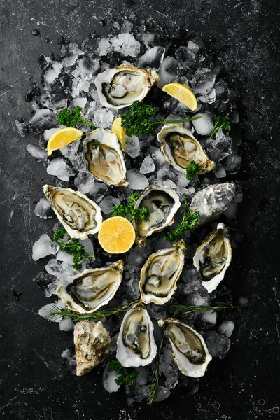 Limonlu istiridye ve buzlu maydanoz. Karanlık bir taş arka planda. Metnin için boş yer. Deniz ürünleri. Düz yatıyordu.