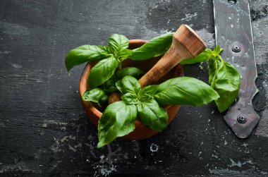 Baharatlar ve bitkiler, bir kasede taze fesleğen yaprağı. Yemek arkaplanı. Üst görünüm.
