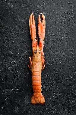 langoustines. Siyah taştan bir arka planda Norveç ıstakozu. Çiğ karides. Üst Manzara. Boş kopyalama alanı.