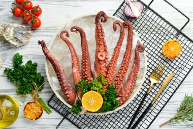 Buzdaki ahtapot dokunaçları. Deniz ürünleri. Üst Manzara. Düz yatıyordu.