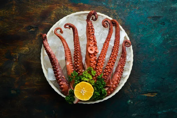 Octopus Tentakels Ijs Zeevruchten Bovenaanzicht Vlakke Plaat — Stockfoto