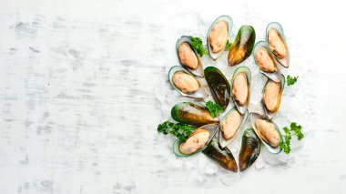 Çiğ yeşil büyük midyeler ve buzlu baharatlar. Midyeler akşam yemeği için hazır. Metin için boş alan.