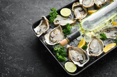 Karanlık bir mutfak masasında bir şişe yıllanmış şarap ve taze istiridye. Deniz ürünleri. Üst Manzara. Düz yatıyordu.