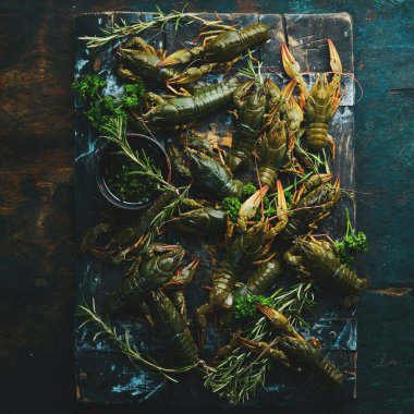 Yaşayan Avrupalı kerevitler. Pişmemiş taze çiğ kerevit pişirmeye hazır. Metnin için boş yer. Üst Manzara. Düz yatıyordu.