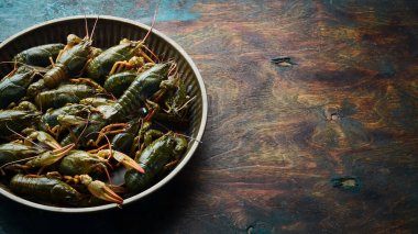 Yaşayan Avrupalı kerevitler. Pişmemiş taze çiğ kerevit pişirmeye hazır. Metnin için boş yer. Üst Manzara. Düz yatıyordu.