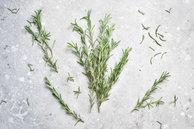 Taze biberiye. Aromatik baharatlar. Taş zeminde. Üst görünüm.