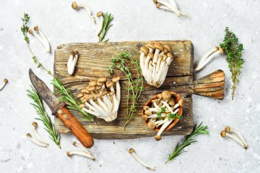 Kahverengi kayın mantarı veya Shimeji mantarı. Taş bir masada. Üst görünüm.