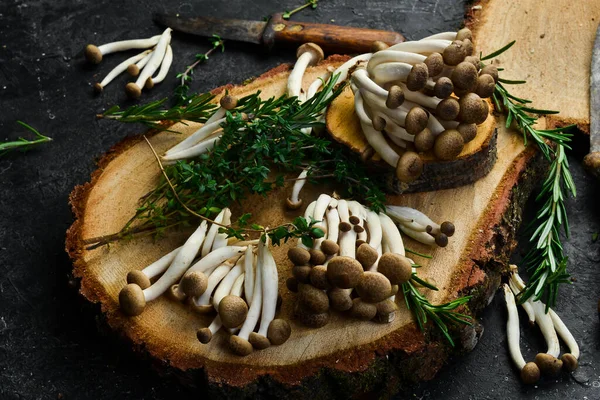 Fresh Brown Beech Mushroom Black Background Stone Table Side View — Stock Photo, Image