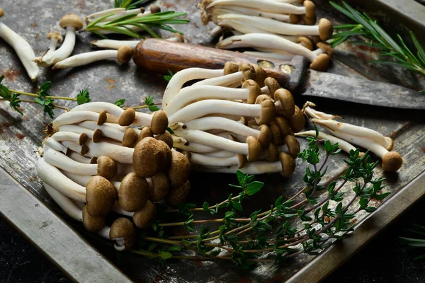 Verse Bruine Beukenzwam Zwarte Achtergrond Een Stenen Tafel Zijaanzicht — Stockfoto