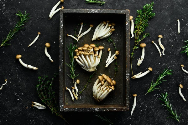 Brown Beech Mushroom Mushrooms Healthy Black Stone Table Top View — Stock Photo, Image