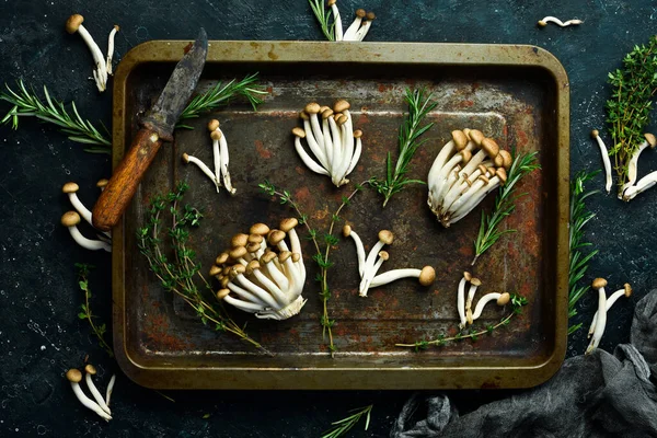 Brown Beech Mushroom Mushrooms Healthy Black Stone Table Top View — Stock Photo, Image