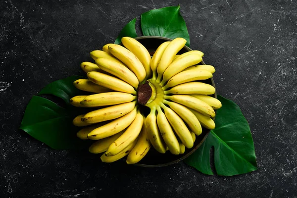 Sárga Trópusi Édes Kis Baba Banán Ingyen Fénymásolási Hely Felülnézet — Stock Fotó