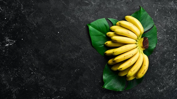 Желтые Тропические Сладкие Детские Бананы Свободное Место Копирования Вид Сверху — стоковое фото