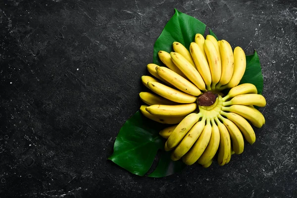 Plátanos Dulces Tropicales Amarillos Espacio Libre Copia Vista Superior —  Fotos de Stock