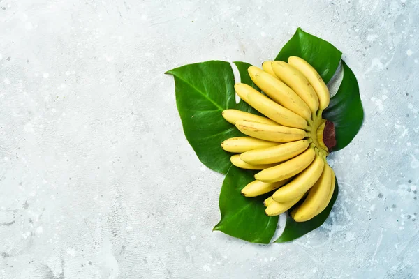 Surowy Organiczny Bukiet Bananów Gotowy Spożycia Kamiennym Tle Wolna Przestrzeń — Zdjęcie stockowe