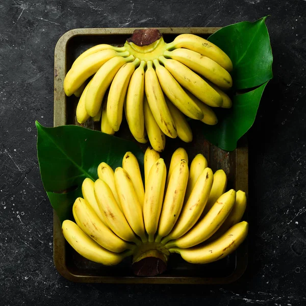 Μικρές Τροπικές Μπανάνες Σετ Μπανάνες Φόντο Μαύρης Πέτρας Ελεύθερος Χώρος — Φωτογραφία Αρχείου