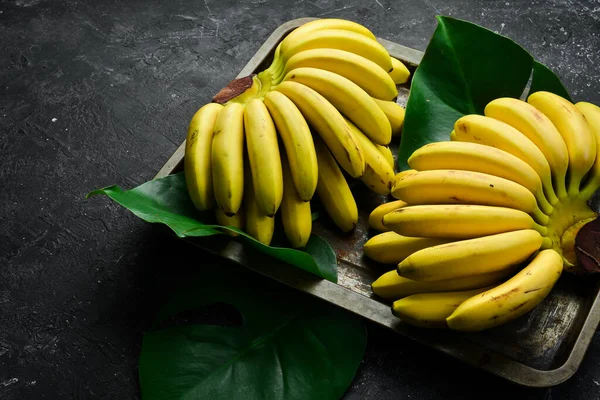 Małe Tropikalne Banany Zestaw Bananów Czarnym Kamiennym Tle Wolna Przestrzeń — Zdjęcie stockowe