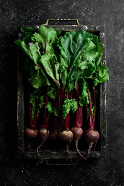 Sebzeler. Tahta bir kutuda yeşil yapraklı taze pancarlar. Siyah bir arka planda. Kırsal biçim.