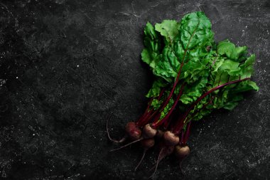 Yeşil yapraklı taze pancarlar. Siyah bir arka planda. Kırsal biçim.