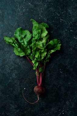 Yeşil yapraklı taze pancarlar. Siyah bir arka planda. Kırsal biçim.