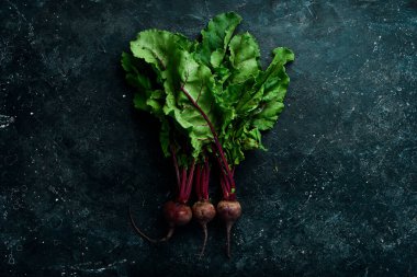 Yeşil yapraklı taze pancarlar. Siyah bir arka planda. Kırsal biçim.