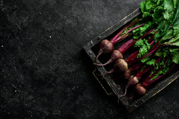 채소들 상자에 사탕무 배경에 열광적 스타일 — 스톡 사진