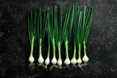 Siyah taşlı arka planda taze soğan. Sağlıklı yiyecekler. Üst görünüm.