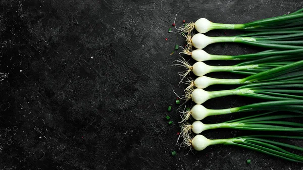 Siyah taşlı arka planda taze soğan. Sağlıklı yiyecekler. Üst görünüm.