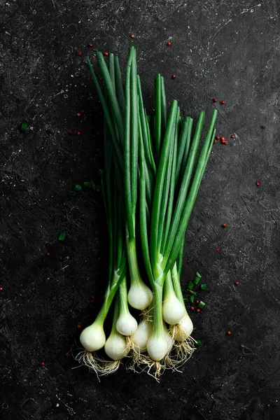 Siyah taşlı arka planda taze soğan. Sağlıklı yiyecekler. Üst görünüm.