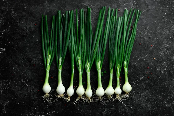 Siyah taşlı arka planda taze soğan. Sağlıklı yiyecekler. Üst görünüm.