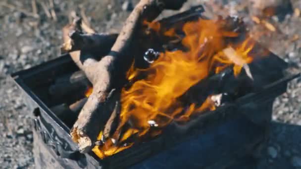Nahaufnahme, Flammen aus dem Feuer. Lagerfeuer, Baumstämme stehen in Flammen — Stockvideo