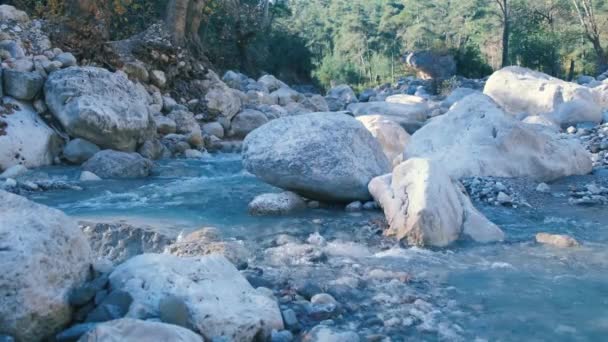 Stream running river. Small waterfall with crystal clear water. — Vídeo de Stock