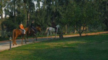 Amerikalı siyah adam beyaz atı hazırlıyor.