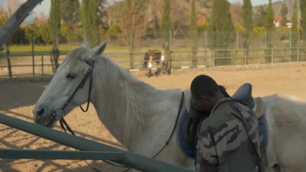 Americký černoch připravuje bílého koně — Stock video