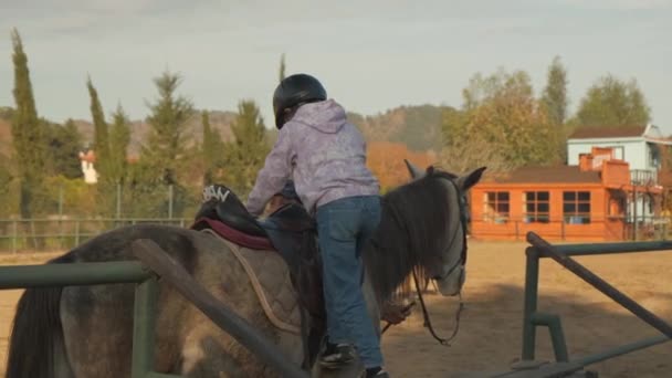 Little girl ride a horse — Vídeo de Stock