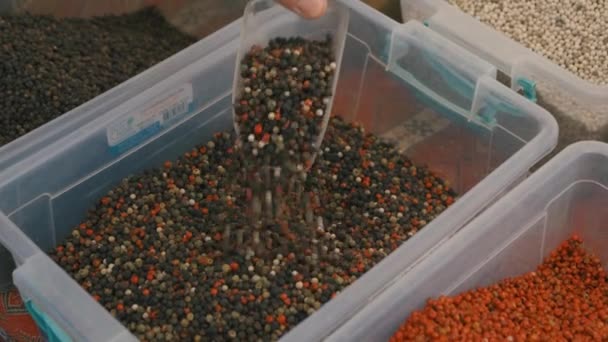 Peppercorns of red, black and white — Stock video